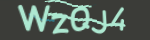 Enter the character string shown in the picture
