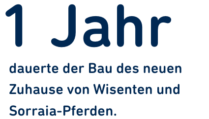 Kennzahl_1_Jahr.png